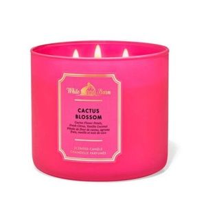 Cactus Blossom Candle